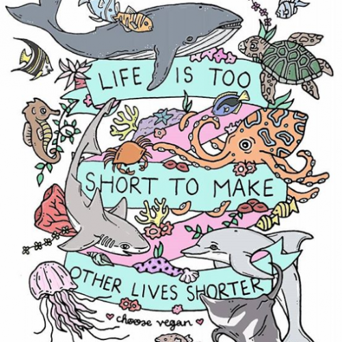Life Is Too Short To Make Other Lives Shorter - Jessica Henderson