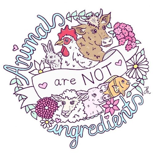 Animals are not Ingredients - Jessica Henderson