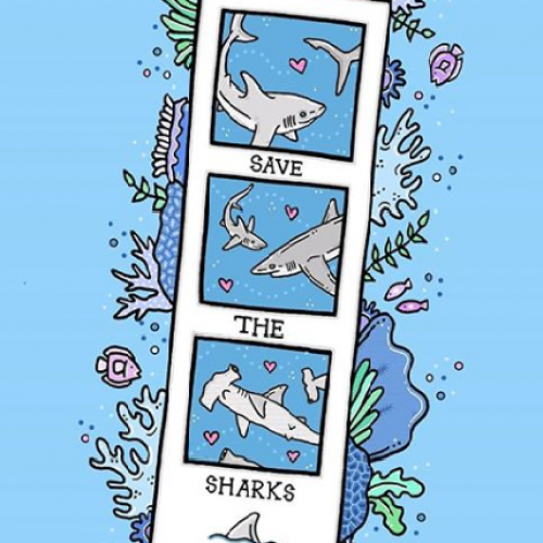 Save the Sharks - Jessica Henderson