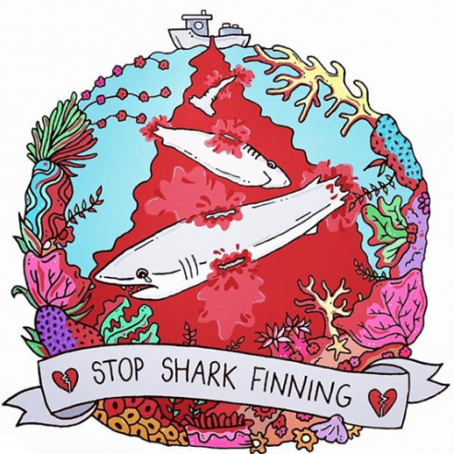 Stop Shark Finning - Jessica Henderson