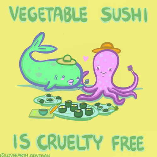 Vegetable Sushi is Cruelty Free - Marte Luna