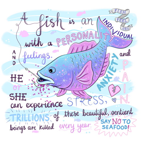 A Fish is an Individual with a Personality and Feelings - Jessica Henderson