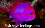 fishhavefeelings-too