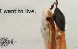 fish-want-to-live